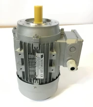 Электродвигатель 11000618 для машины тестомесильной спиральной т.м. SIGMA, серии TAURO