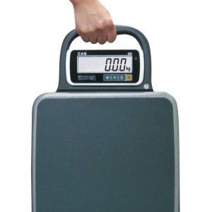 Весы товарные cas pb-30 Весы товарные cas pb-30