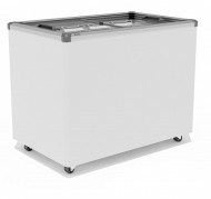 Ларь морозильный Фростор FG 350 С серый