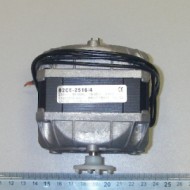 Мотор для jolly 5/2 bras 22800-18920