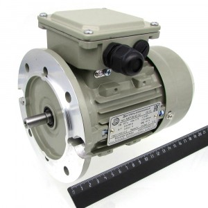 Мотор focus-m2/focus-fs/twister-m/twister-fs/carnival (выпуска до июля 2022 года) и monster robolabs 11011