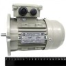 Мотор focus-m2/focus-fs/twister-m/twister-fs/carnival (выпуска до июля 2022 года) и monster robolabs 11011