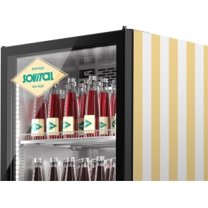 Шкаф холодильный для напитков sovital eazy 600 fd indoor Шкаф холодильный для напитков sovital eazy 600 fd indoor