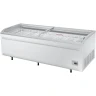 Ларь-бонета Haier GTS2100W с разделителями (белый)